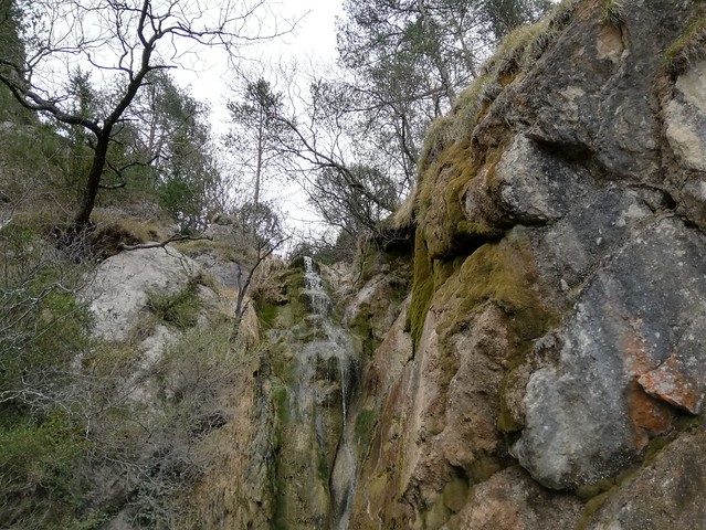 IMG-20190303-WA0056