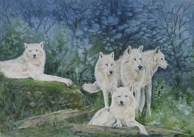 The White Wolf Pack.