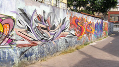 Romita Wall Art III (Mexico City 30 10 2010)