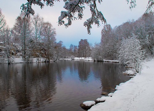water stream river shore snow frost winter trees branches reflections akerselva frysja kjelsås oslo norway