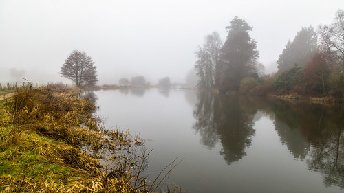 waverleyabbey mistymorning mist lake trees wetreflection reflections