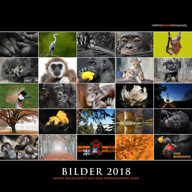 BILDER 2018
