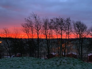 Red Sky this morning...