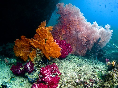 Raja Ampat