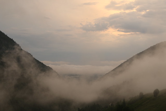 Transylvanian Mists