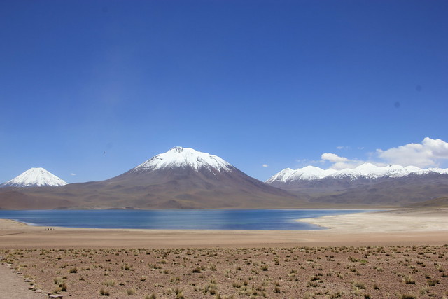 Dia 4: Lagunas Altiplanicas, Piedras rojas y Tour Astronomico (16/02/19) - Por el fin del mundo: Atacama, Perito Moreno, Patagonia e Isla de Pascua (32)