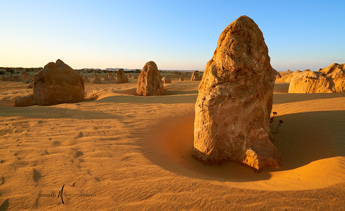 australia australien desert wüste landschaft landscape afternoon trockenheit view orange wildernes wildnis outdoor