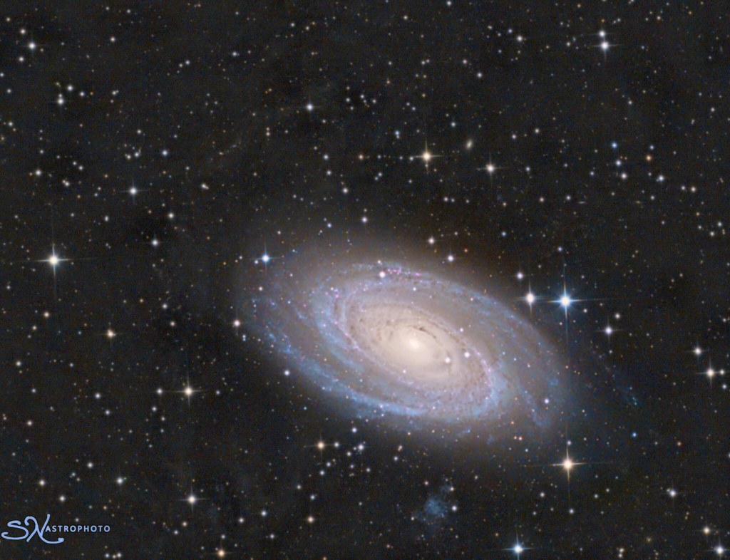 M81 and Integrated Flux Nebula