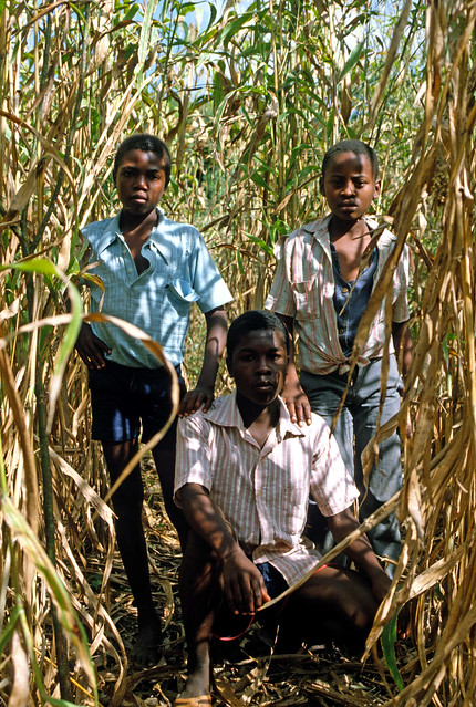 Les trois mousquetaires (Balnave et ses copains), Fonds-des-Nègres, Haïti.