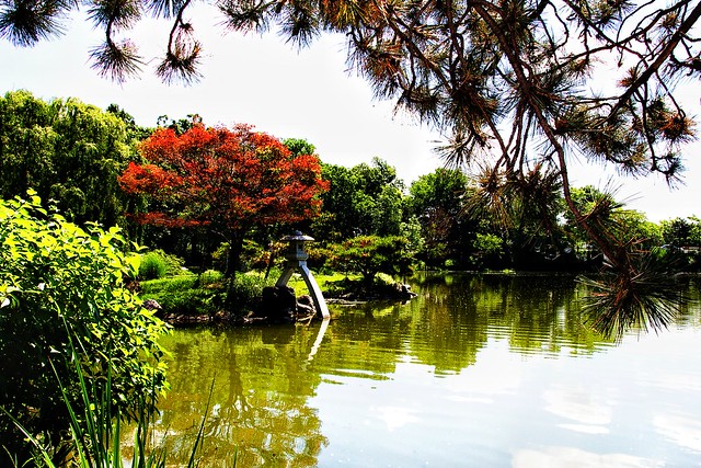 Buffalo New York  -Japanese Garden on Mirror Lake - Attraction Site