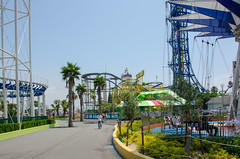 Photo 17 of 25 in the Day 7 - Nagashima Spaland gallery