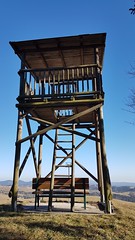 Am Walderlebnisweg Gschaidt - Aussichtswarte mit Blick in drei Bundesländer