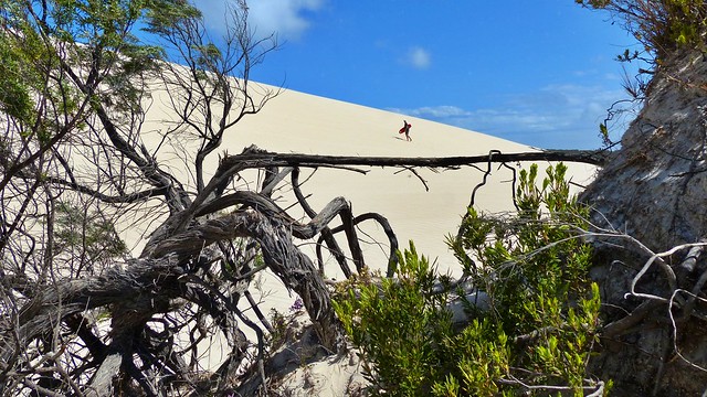 Little Sahara Kangaroo Island
