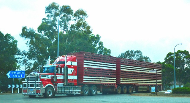 Karradale  Livestock Transport Kenworth T908