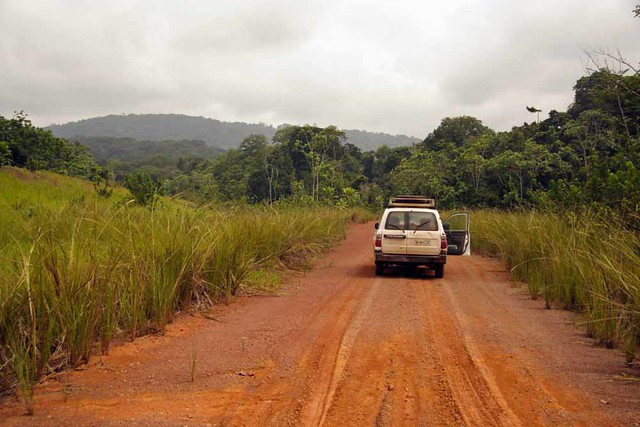 On the road back to Ivindo town in Gabon