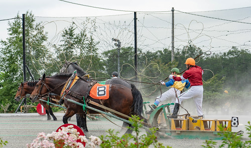 a7r3 race obihiro horse japan hokkaido sony cavallo cheval うま 乗馬 北海道 帯広市 馬 obihiroshi hokkaidō giappone jp