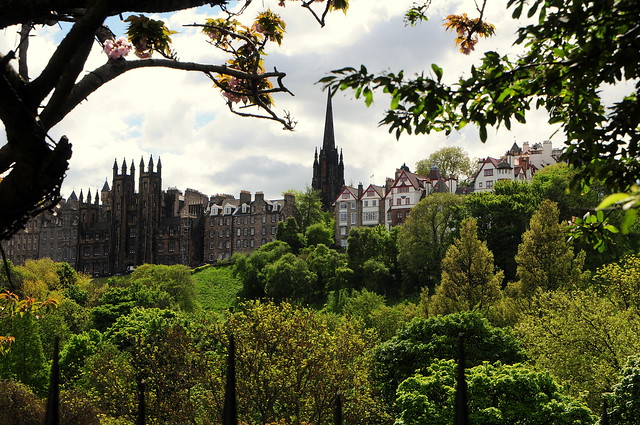 Edinburgh through the Trees