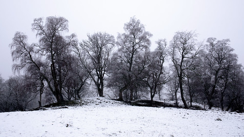 aberdeenshire banchory forestofbirse finzean scotland snow winter landscape monochrome blackandwhite canon canon5d eos