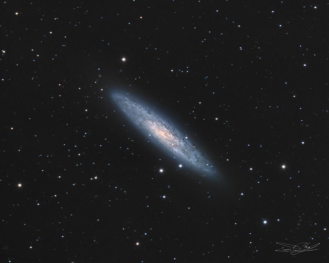 NGC 253 - Sculptor galaxy