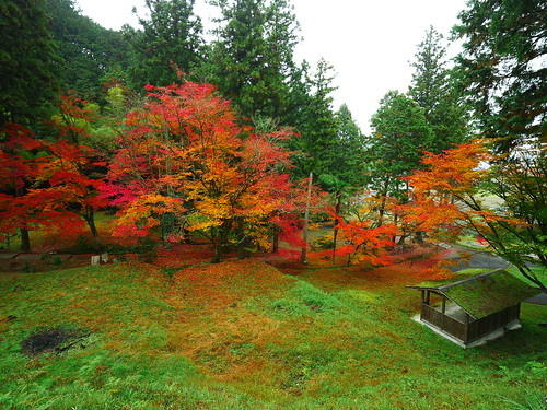 kyoto momiji temple ryuonji ryuonjitemple fall autumn sonobe nantan 龍穏寺 楓 紅葉 南丹 園部 京都 りょうおんじ なんたんし