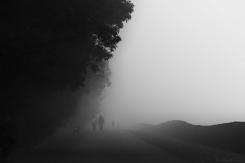 Fog Walking | by JCClavet