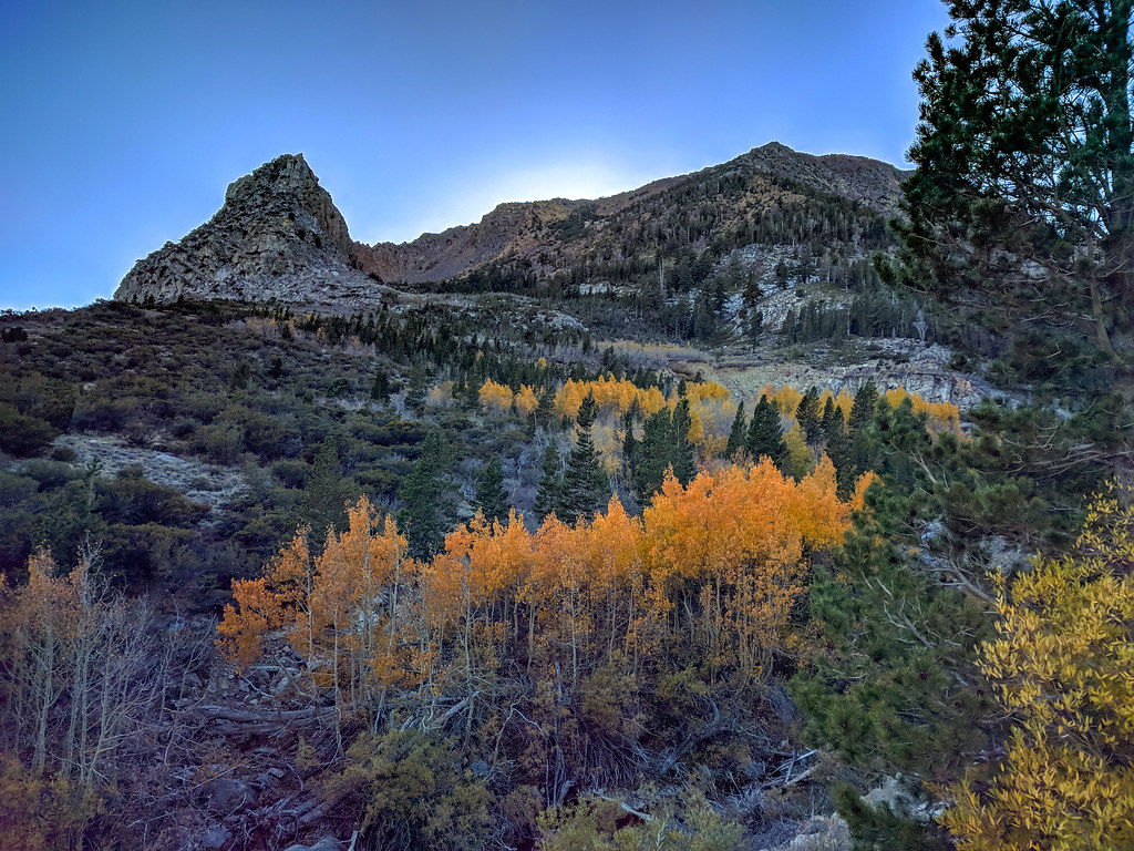 Warren Fork Trail
