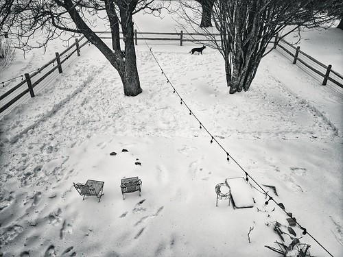 maine me snow winter fence backyard