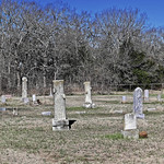 Bee Cemetery Johnson County
