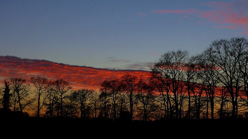 1450484 panasonicdmcfz150 woold winterswijk achterhoek gelderland nederland netherlands holland zonsondergang sunset silhouettes