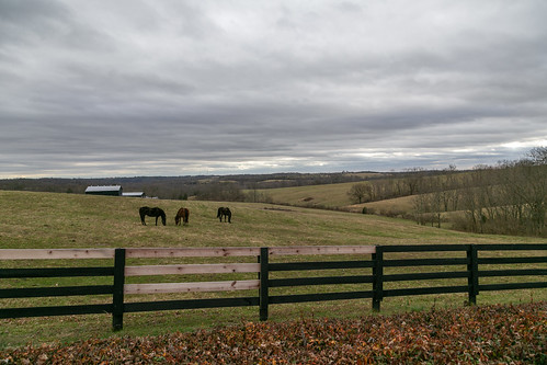 farmland landscape harrodsburg kentucky unitedstatesofamerica us agriculture fence field slope hills valley bluegrass mercercounty horses trees clouds scenic pleasant