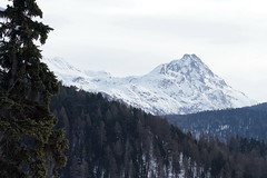 WC-St.Moritz 2019