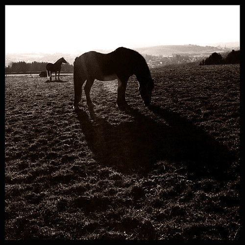 Shadow.... | by Claudio Taras