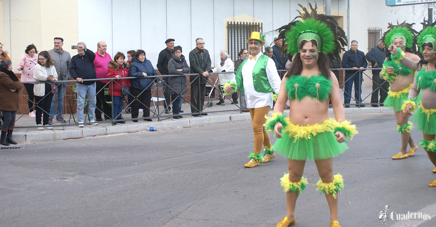 carnaval-tomelloso-desfile-locales-2019 (334)