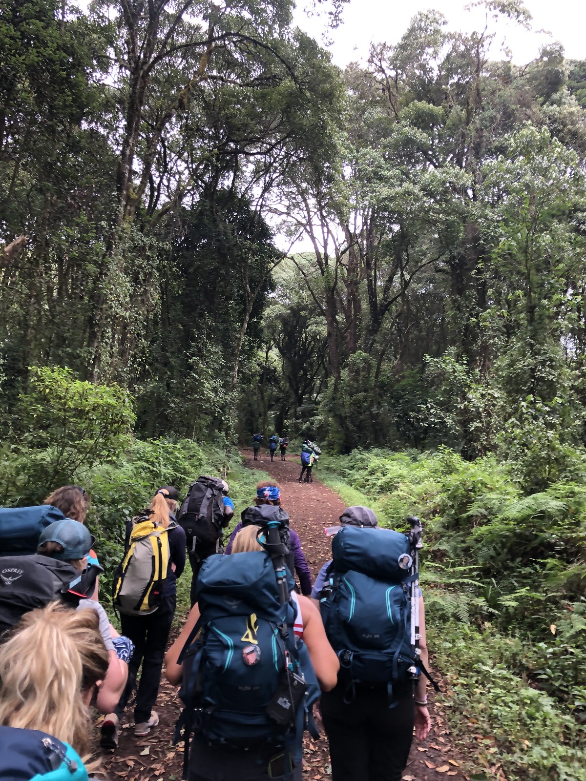 2019_EXPD_Kilimanjaro_Ashley 9