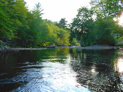 Natchaug River (Mansfield, Connecticut)