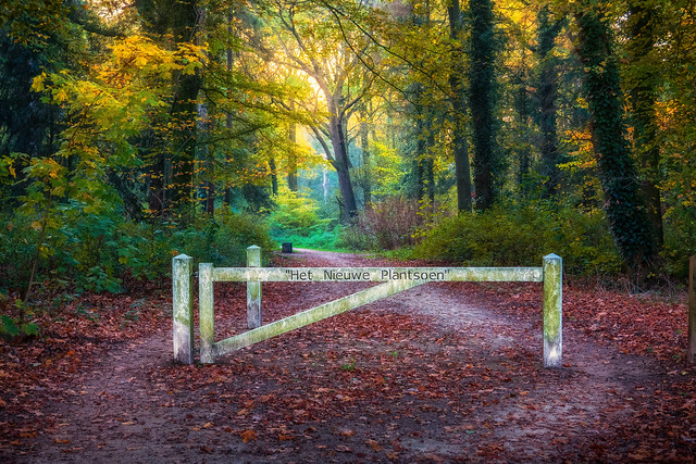 Entrance to a local park. The sunset, the path with leaves and the white fence made for a lovely Composition.