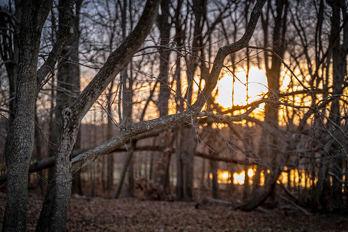 park county trees light sunset red orange sun nature rural forest lens outside outdoors evening woods solitude alone quiet peace sundown zoom dusk sony wide conservation montgomery alpha setting tamron rachelcarson nex ilce 2875 sonyshooter emount femount bealpha a7rii ilce7rm2 blue sky blur yellow spring bokeh depthoffield tamron2875