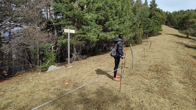 IMG_20190303_115219