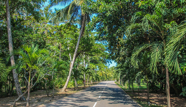 Sri Lanka Road
