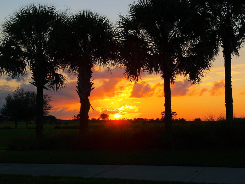Sunset in Ocala FL