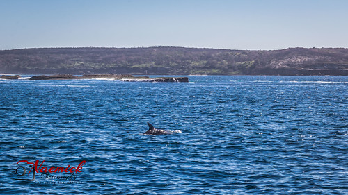 South Coast Passage Cruise-0152.jpg | by naemickpics.com