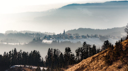 austria sanktpankrazen styria winter backlight fog hills landscape misty trees village österreich