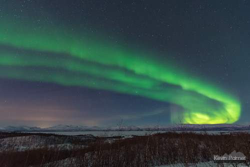 abisko sweden swedishlapland arctic march winter clear night sky stars starry space astronomy astrophotography aurora auroraborealis northernlights green cold snow snowy torneträsk birchtrees forest nikond750 sigma14mmf18 europe moonlight moonlit