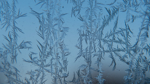 Winter: frost pattern