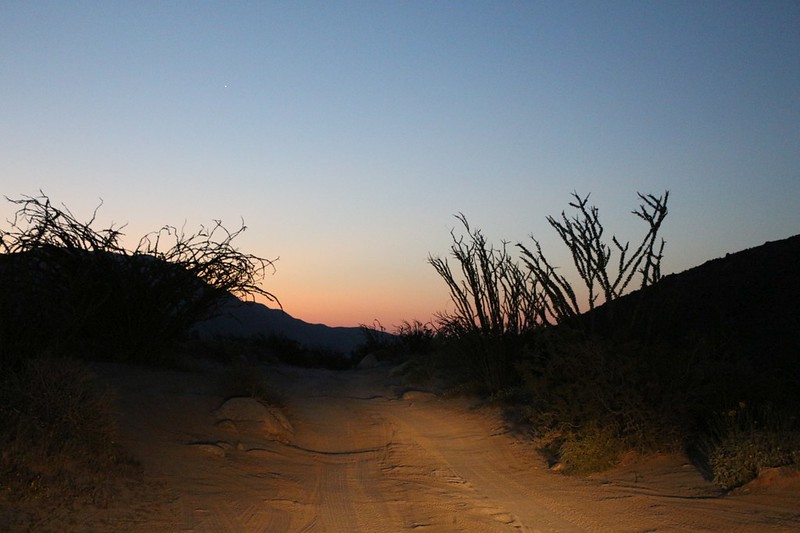 We drove out to Borrego Springs with our headlights lighting the way