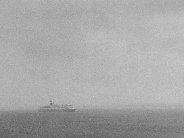 Cruise in fog