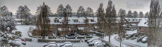 Winter snow panorama, Odijk, Netherlands - 3056