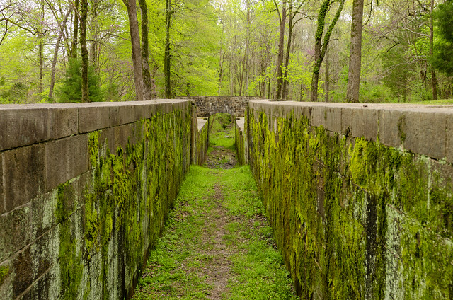 Canal Trail at Landsford Canal State Park 2