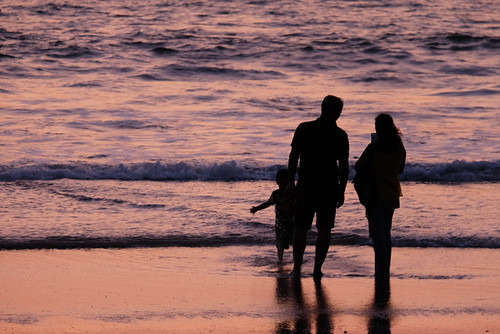 Silhouettes of a Family Watching Sunset on the Beach