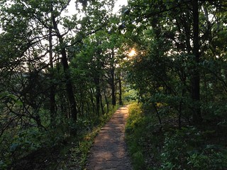 Sunset trail